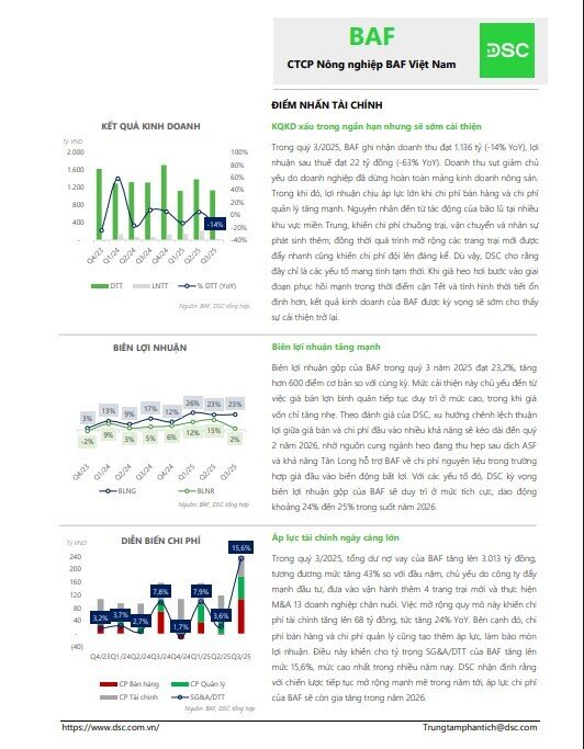 Giá heo vào sóng tăng vì dịch bệnh và bão lũ, DSC gợi ý cổ phiếu giúp NĐT ‘có tiền ăn Tết’