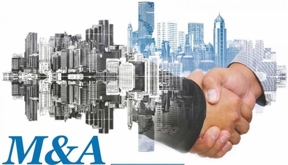 Cuộc "đổ bộ" của đại gia Việt vào thị trường M&A quốc tế