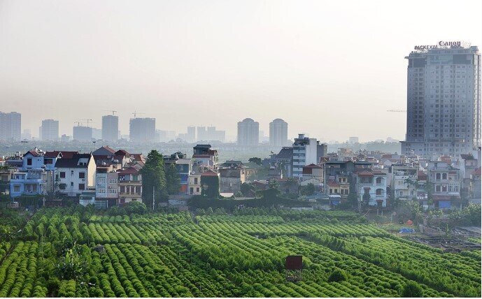 Chuyển đất trồng lúa trái phép có thể bị phạt đến 60 triệu đồng