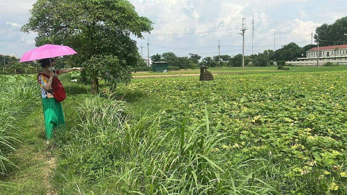 "Cuộc chơi" đất nông nghiệp: Kỳ vọng cao, rủi ro cận kề