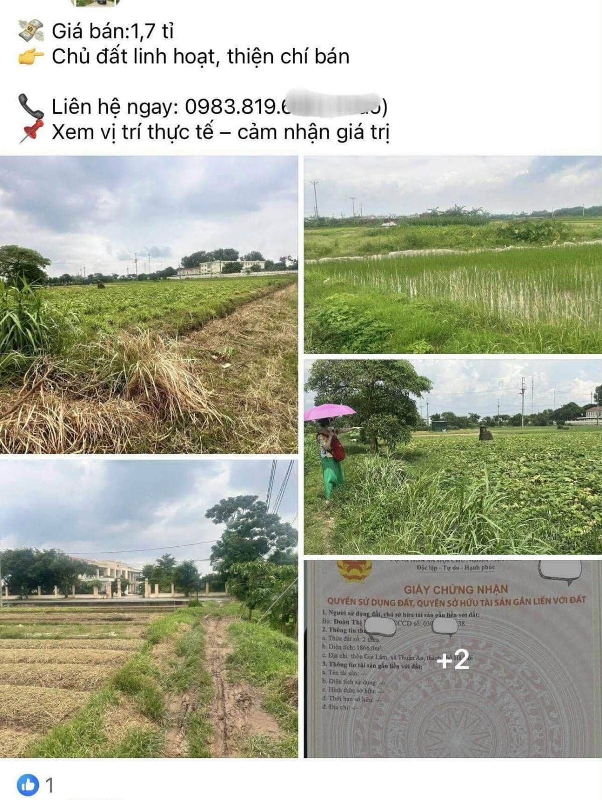 "Cuộc chơi" đất nông nghiệp: Kỳ vọng cao, rủi ro cận kề