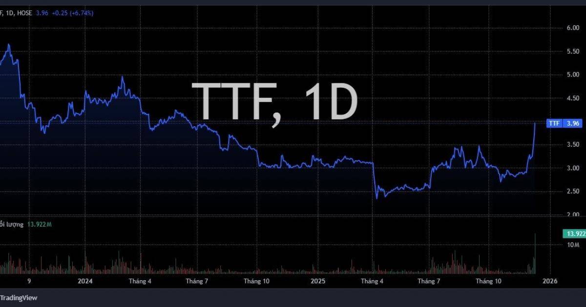 "Vua gỗ" một thời bất ngờ hồi sinh giữa lúc VN-Index điều chỉnh mạnh