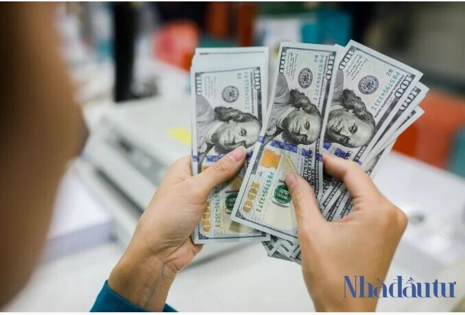 Dòng tiền “mất hút”: Vì sao nhà đầu tư đồng loạt rời bỏ thị trường?