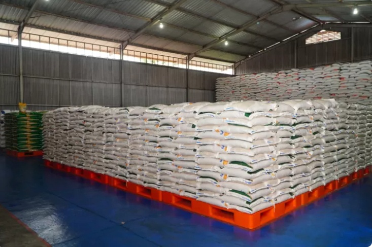 Nền kinh tế số 1 Đông Nam Á nói ‘đủ rồi’: Gạo Việt Nam và Thái Lan lao dốc theo