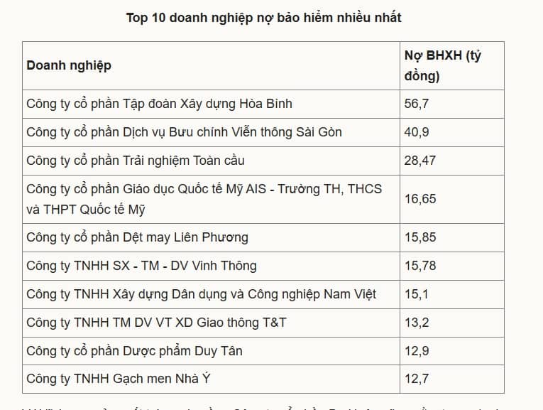 Gần 18.000 doanh nghiệp TP HCM đang nợ BHXH của người lao động