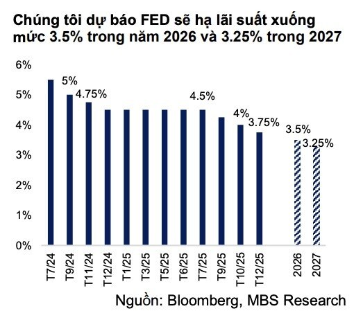 2026: VND có vượt qua được áp lực mất giá?