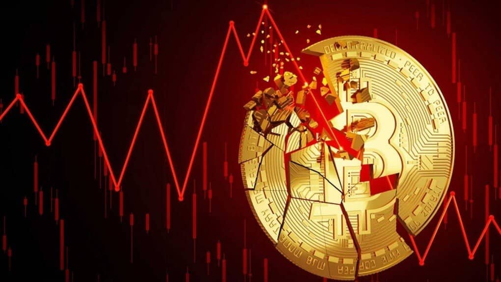 Bitcoin rơi mạnh, cá voi săn mồi, cá con nên làm gì?