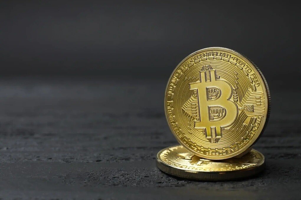 Bitcoin rơi mạnh, cá voi săn mồi, cá con nên làm gì?