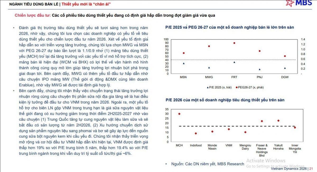 Cổ phiếu tiêu dùng thiết yếu trở thành “chân ái” đầu tư trong năm 2026?