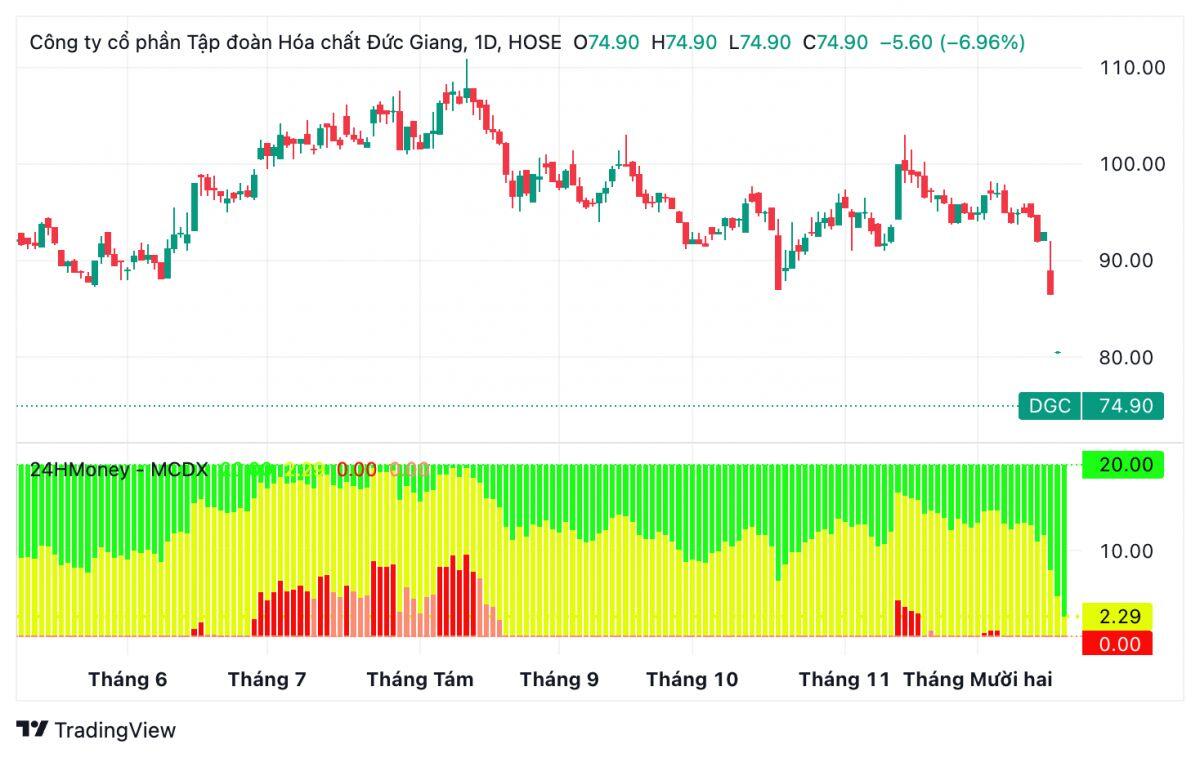 Ai đang “chịu trận” cùng DGC? Bức tranh sở hữu của các quỹ đầu tư