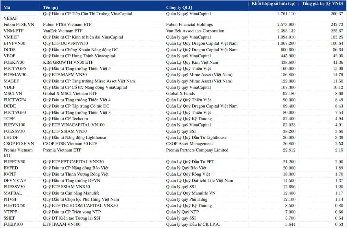 Ai đang “chịu trận” cùng DGC? Bức tranh sở hữu của các quỹ đầu tư