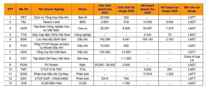 Lộ diện điểm sáng mùa KQKD 2025, nhiều doanh nghiệp báo lãi kỷ lục