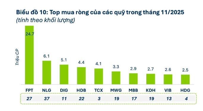 Khi nhà đầu tư còn do dự, “cá mập” đã âm thầm gom hàng