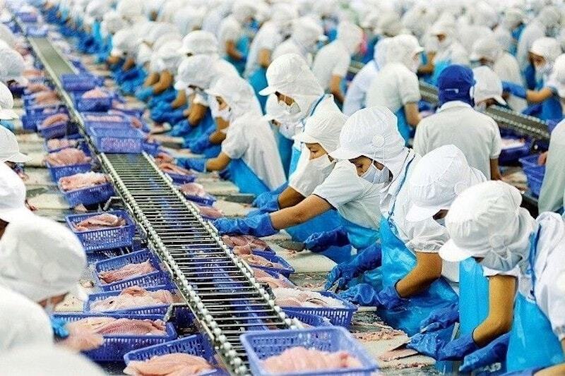 Tin vui lớn cho ngành thủy sản: Chế biến được miễn thuế thu nhập doanh nghiệp