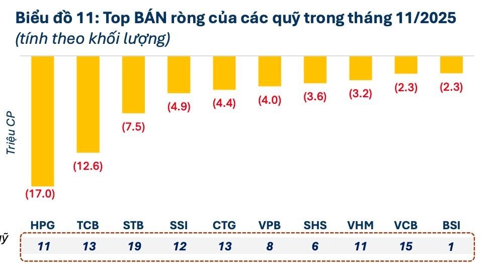 Loạt "cá mập" âm thầm xuống tiền trước nhịp hồi phục của thị trường: Cổ phiếu nào được gom mạnh nhất?