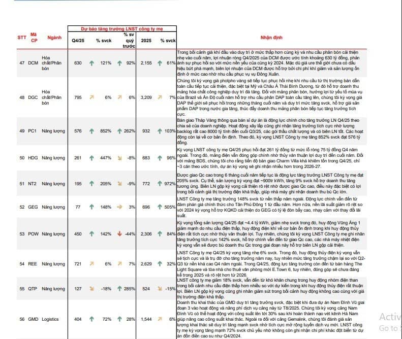 Dự báo KQKD 4 của 62 doanh nghiệp với nhiều cái tên hot VIC, VHM, HPG, DGC, TCB... Top 1 tăng trưởng gần 17.000%