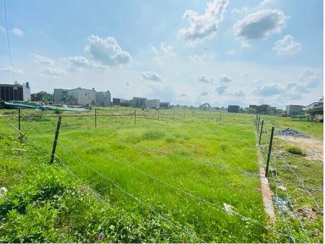 Vì sao giá đất nông nghiệp TP.HCM thấp hơn thị trường và cả các tỉnh lân cận?