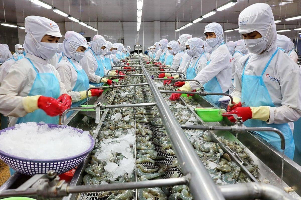 MPC lấy lại “phong độ”
