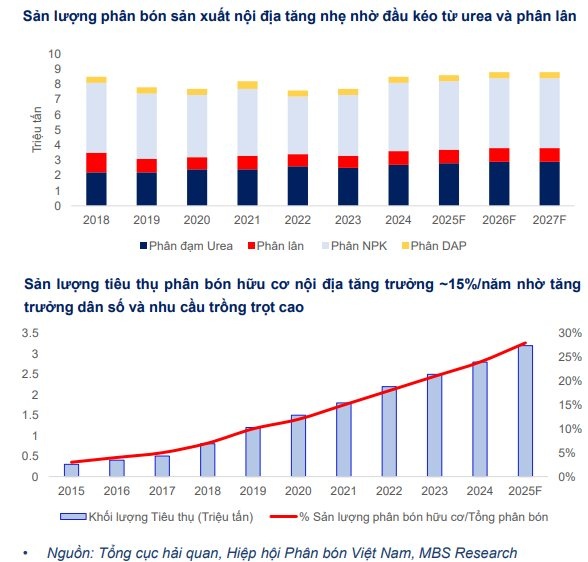 CTCK điểm tên doanh nghiệp phân bón tiềm năng 2026, kỳ vọng tăng trưởng 2 chữ số