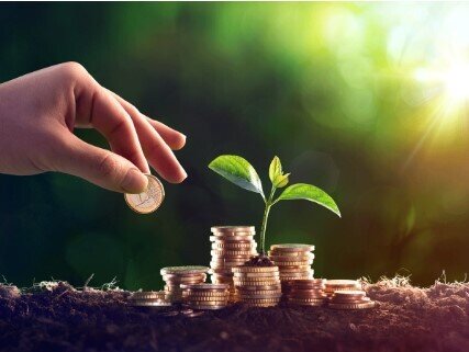 5 DN trả cổ tức bằng tiền đầu tháng 1/2026, cao nhất 25%