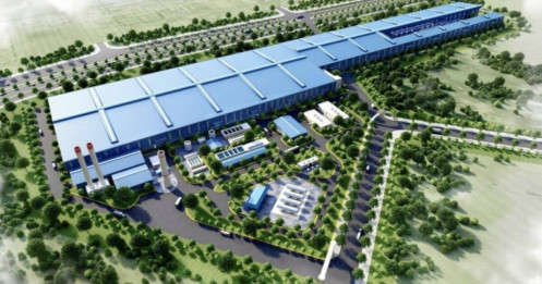 Hòa Phát đánh nhiều “mặt trận” trong năm 2025: Thép đặc biệt, nông nghiệp và xuất khẩu