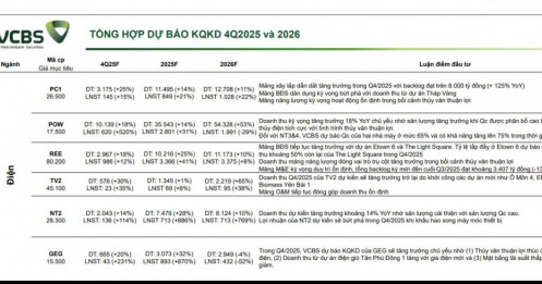 VCBS “đặt cược” nhóm điện, POW được dự báo lãi quý IV/2025 tăng 520%