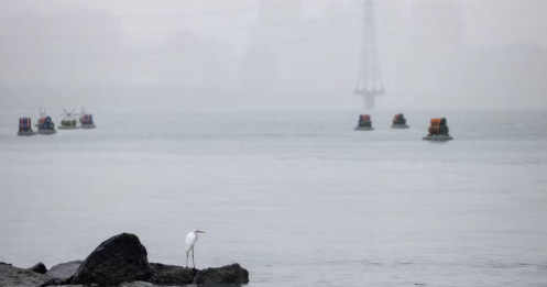 Các nhà phân tích cho rằng cuộc tấn công của Mỹ vào Venezuela sẽ củng cố các tuyên bố chủ quyền lãnh thổ của Trung Quốc, trong khi cuộc tấn công vào Đài Loan khó có khả năng xảy ra