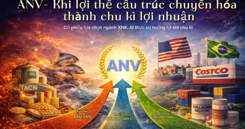 ANV – Khi lợi thế cấu trúc chuyển hóa thành chu kỳ lợi nhuận