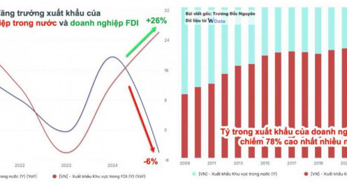Hai đường xuất khẩu năm 2025: Khối nội suy giảm, FDI áp đảo
