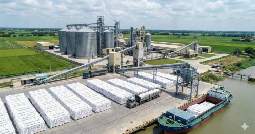 Ngành phân bón 2026: Tối ưu hóa lợi nhuận từ sự thay đổi cấu trúc chính sách