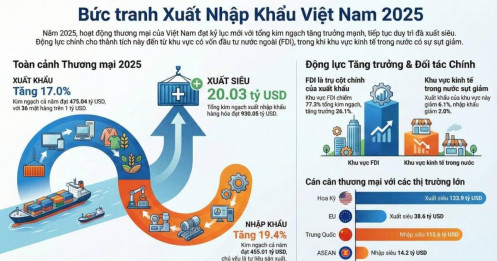 Toàn cảnh Xuất nhập khẩu Việt Nam 2025: Kỷ lục mới và Những "khoảng lặng" phía sau con số