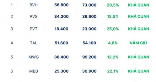 Vì sao SHS đặt kỳ vọng vào MBB, HPG, MWG trong nửa đầu 2026?