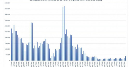 NĐT cá nhân ồ ạt quay lại thị trường, gần 280.000 tài khoản mở mới trong tháng 12