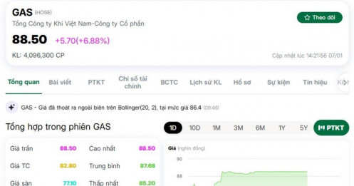 Ai đang gom mạnh cổ phiếu GAS?