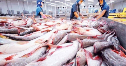 Tái định vị thị trường xuất khẩu thủy sản