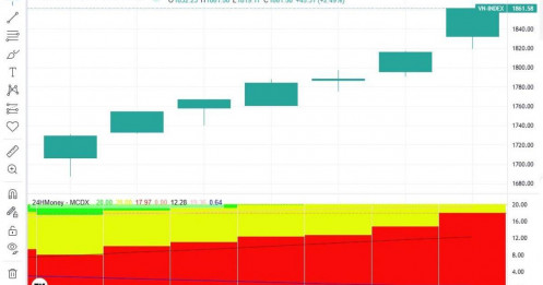 VnIndex lập đỉnh lịch sử, nhưng nhiều NĐT vẫn đỏ tài khoản: Nguyên nhân là gì?