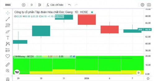 Nếu rời VN30, DGC còn được kỳ vọng gì?