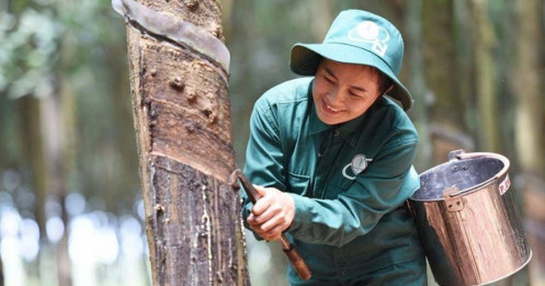 Dòng tiền đổ vào cổ phiếu Nhà nước dự kiến thoái vốn