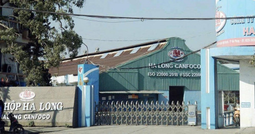 Phát hiện virus tả lợn châu Phi trong cả thịt lợn thành phẩm của Công ty Hạ Long