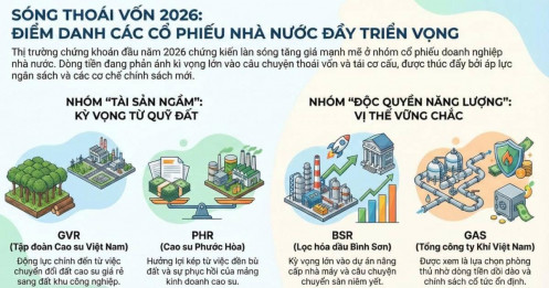 "Kho báu" cổ phiếu Nhà nước 2026: Khi những gã khổng lồ bắt đầu "nhảy múa"
