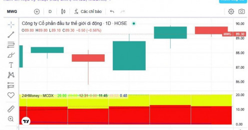 Tự doanh bán ròng kỷ lục MWG, cổ phiếu vẫn giữ đỉnh: Dòng tiền đang nói gì?