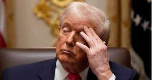 Hơn 1.000 doanh nghiệp Mỹ đâm đơn kiện ông Trump