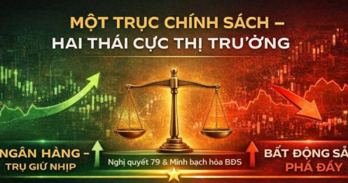 1 trục chính sách – 2 thái cực thị trường