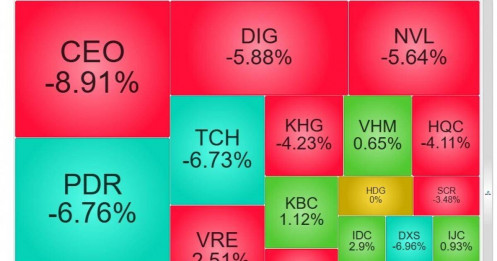 Sóng gió nhóm BĐS: Vì sao cổ phiếu đồng loạt nằm sàn giữa lúc VN-Index tăng?