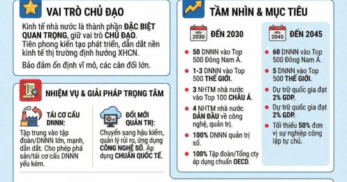 Nghị quyết Kinh tế Nhà nước 79-NQ/TW: 3 ngành được “bật đèn xanh” – dòng tiền đang âm thầm chuẩn bị?