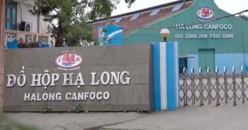 Kho lạnh Hạ Long không “lạnh” bằng nỗi lo kiểm soát