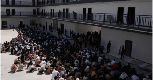 Điều gì khiến lừa đảo trực tuyến ở Đông Nam Á không thể xóa sổ?