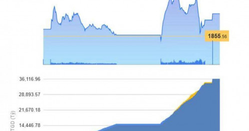 Thị trường chứng khoán "xanh vỏ đỏ lòng" - Hành động hợp lý?