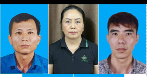 Tổng giám đốc Công ty Đồ hộp Hạ Long bị bắt trong vụ thịt heo nhiễm bệnh