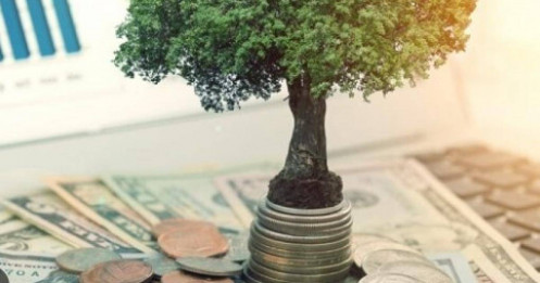 Lịch chốt quyền trả cổ tức bằng tiền của 8 DN tuần tới, cao nhất 20%